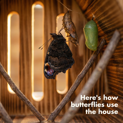 Handmade Butterfly House