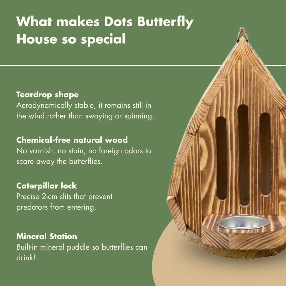 Handmade Butterfly House