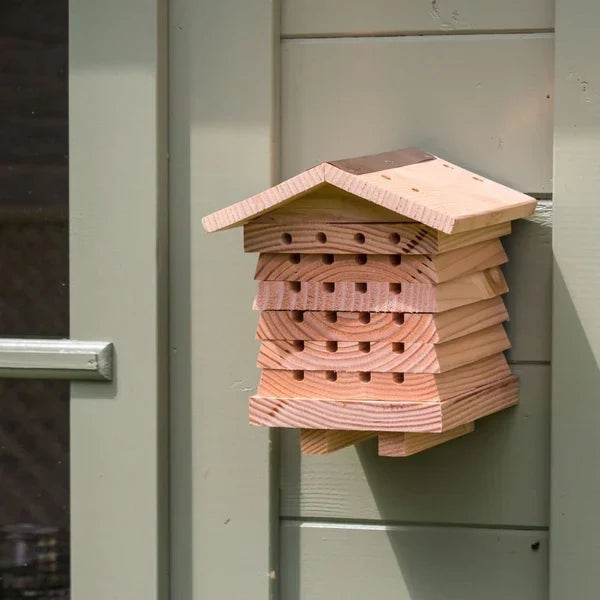 Wild Bee Hotel